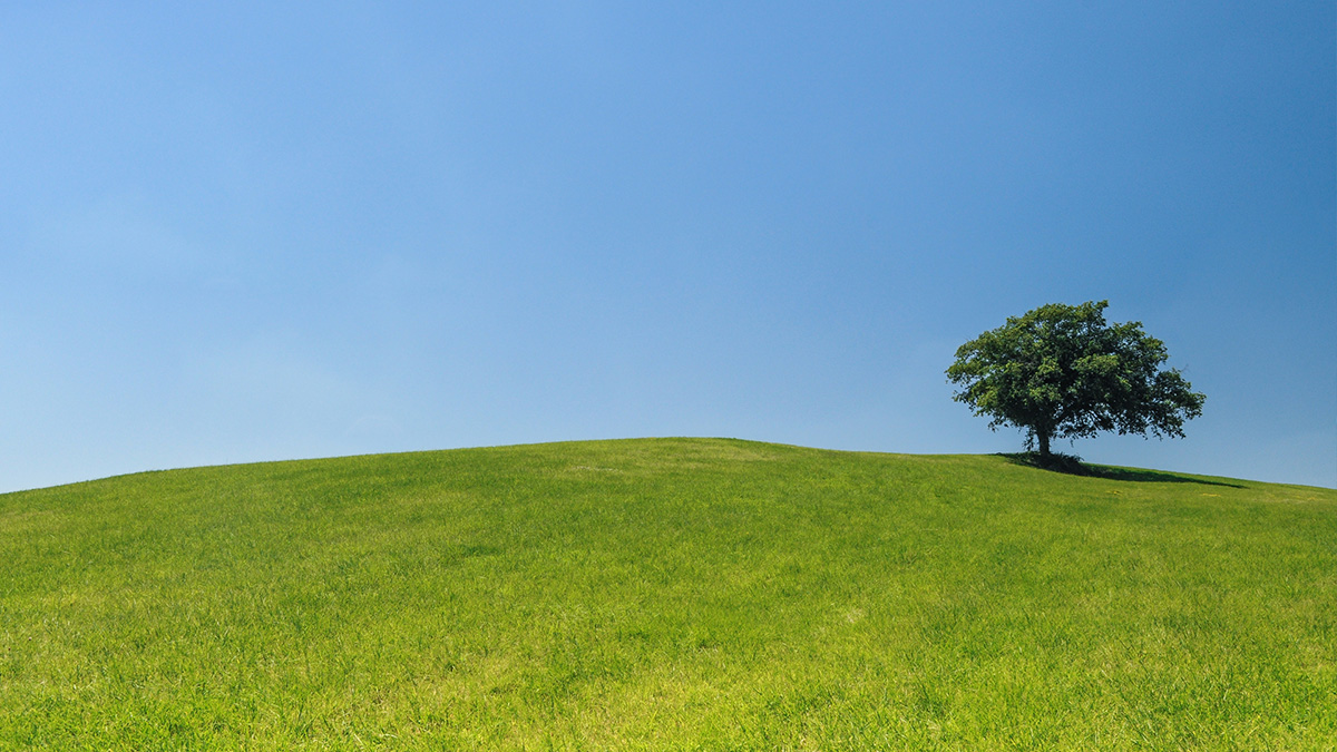 Green Hill Lonely